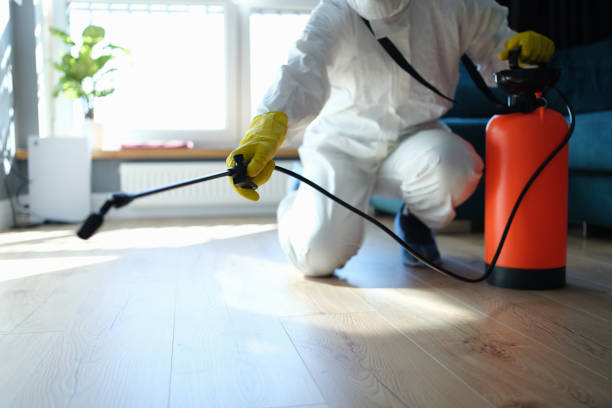 Reliable Sewage Cleanup contractor in Palm Coast, FL by Trauma Clean Pros